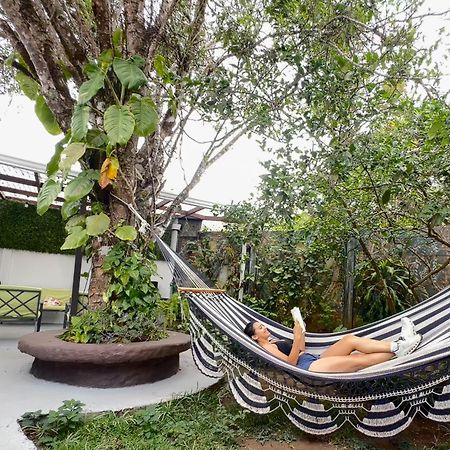 Montefresco Boutique Hostel Monteverde 외부 사진